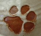 paw print tracks white and clay
